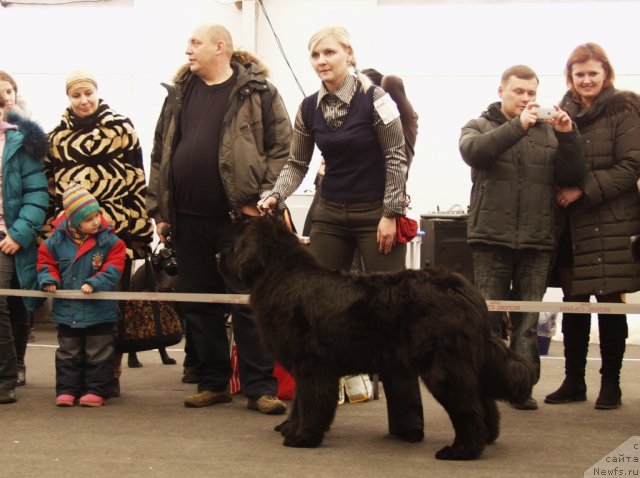 Фотография № 117189