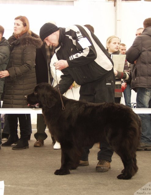 Фотография № 117190