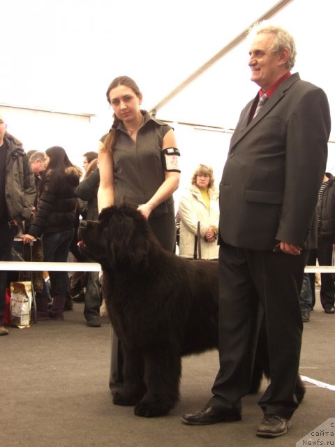 Фотография № 117191