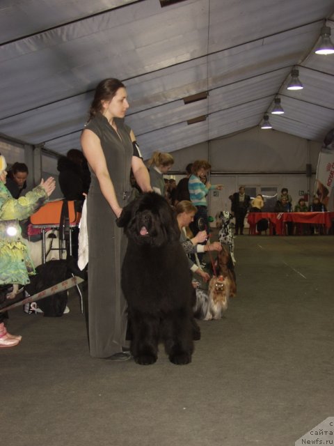 Фотография № 117194