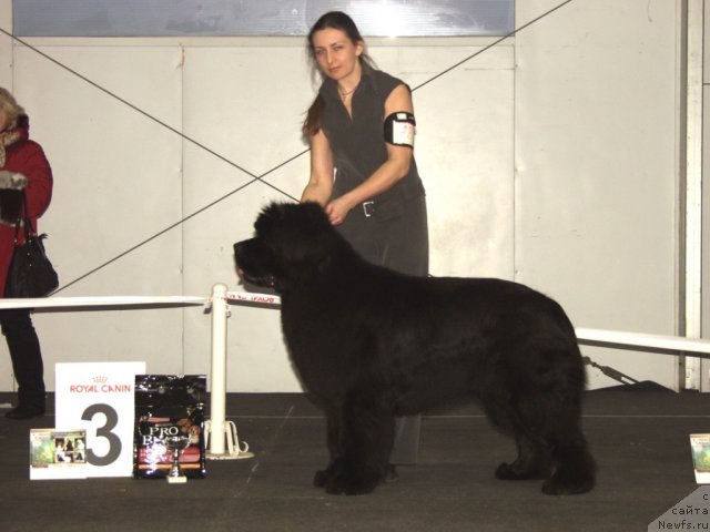 Фотография № 117195