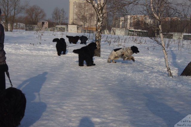 Фотография № 117198