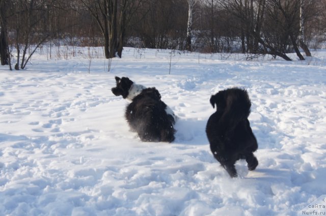 Фотография № 117199