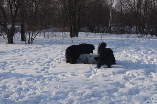 Фотография № 117202