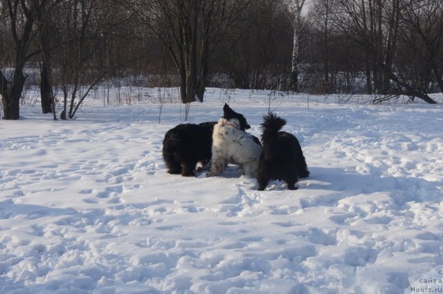 Фотография № 117203