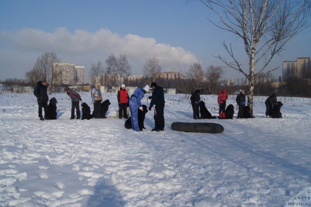 Фотография № 117208