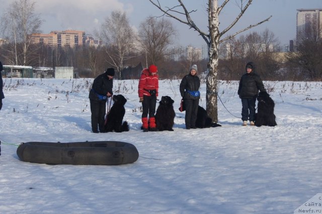 Фотография № 117209