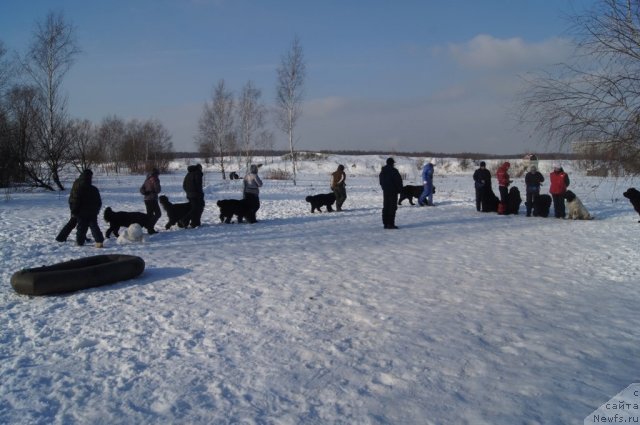 Фотография № 117216