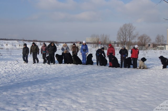 Фотография № 117217