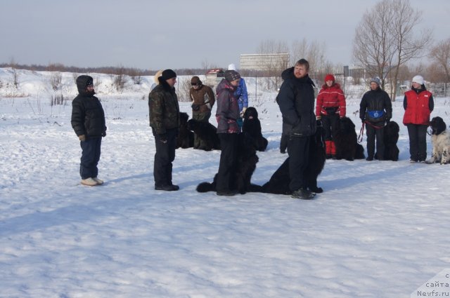 Фотография № 117218