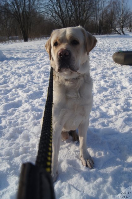 Фотография № 117219