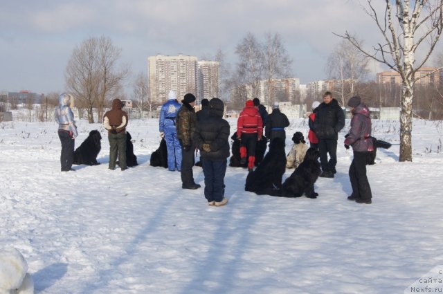 Фотография № 117221