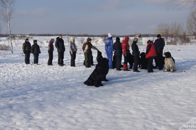 Фотография № 117224