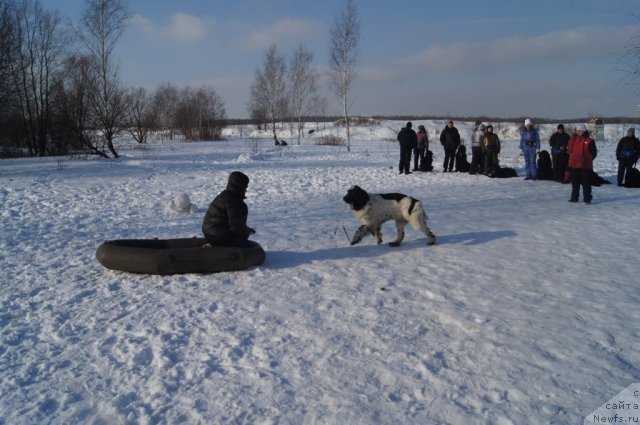 Фотография № 117232