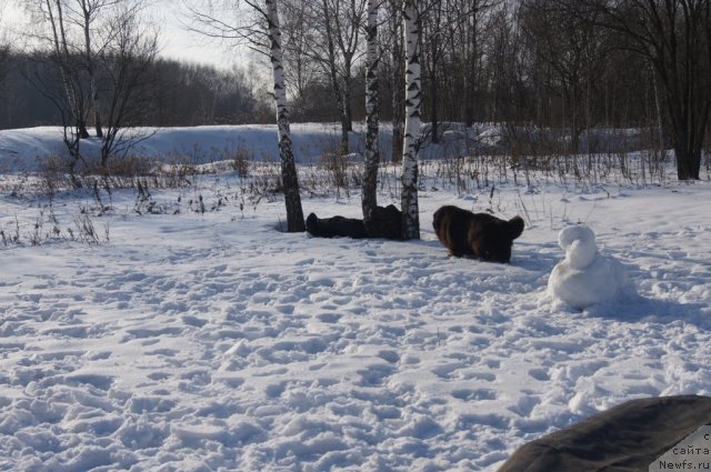 Фотография № 117238