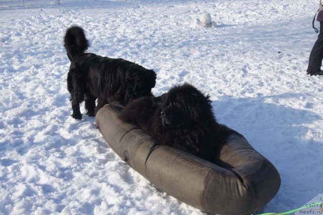 Фотография № 117242