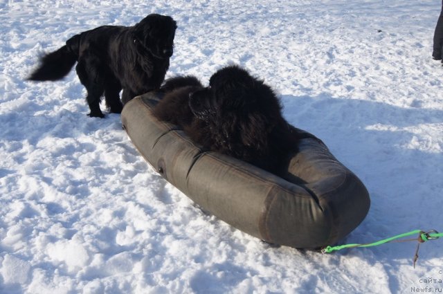 Фотография № 117243