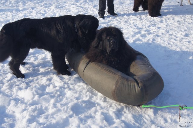 Фотография № 117245