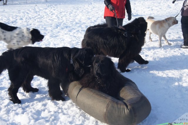 Фотография № 117246