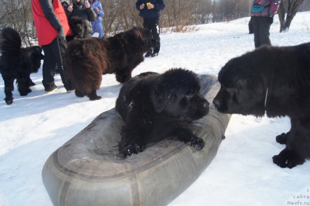 Фотография № 117250