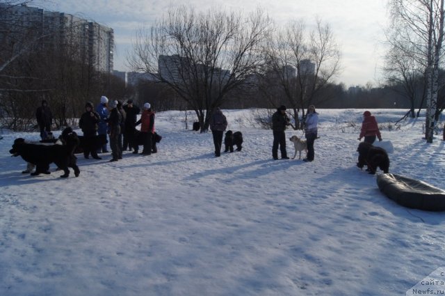 Фотография № 117251