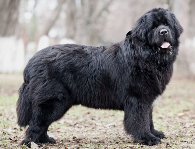 Фотография № 117255