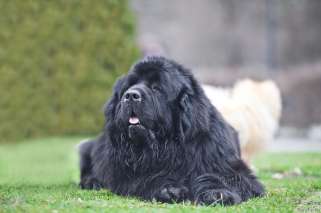 Фотография № 117264