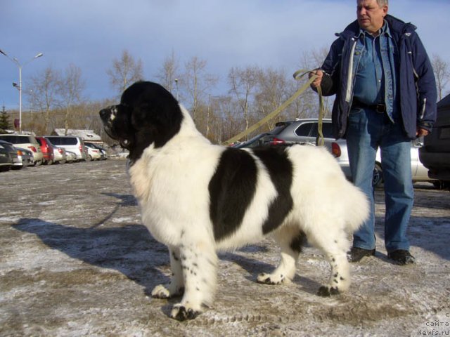 Фотография № 117268