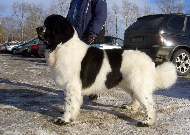 Фотография № 117281