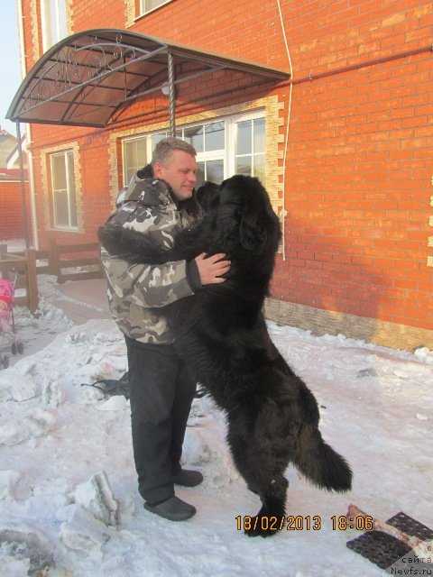 Фотография № 117339