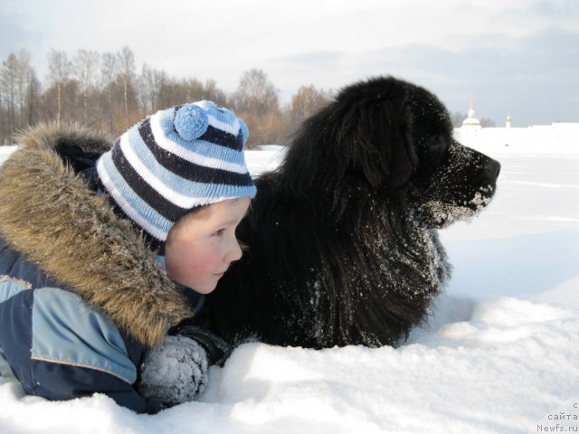 Фото: Сергей Крюков