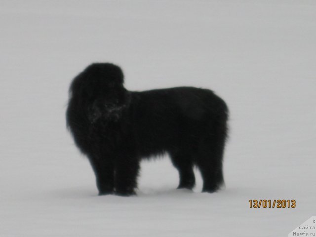 Фото: Сергей Крюков