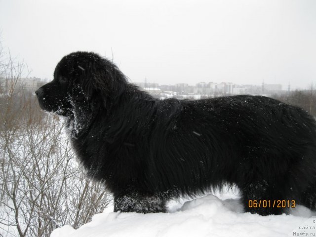 Фото: Сергей Крюков