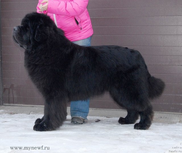 Фотография № 117419