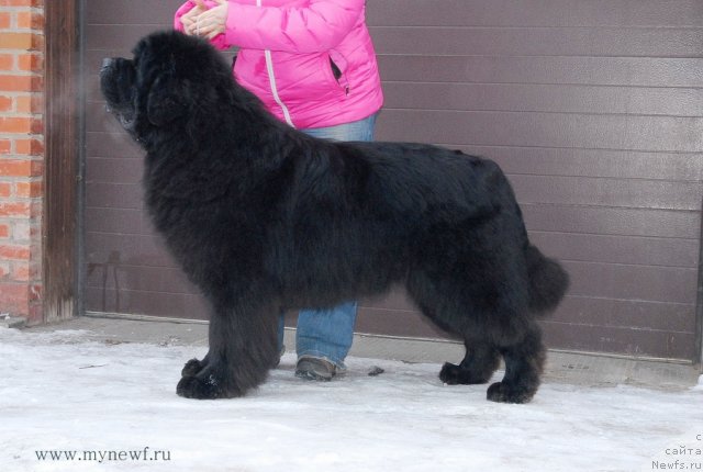 Фотография № 117420