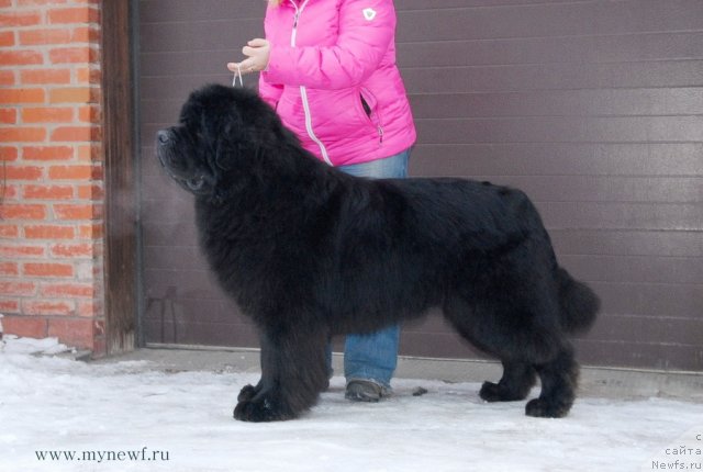 Фотография № 117421