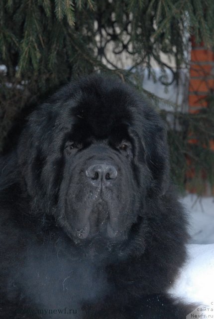 Фотография № 117423