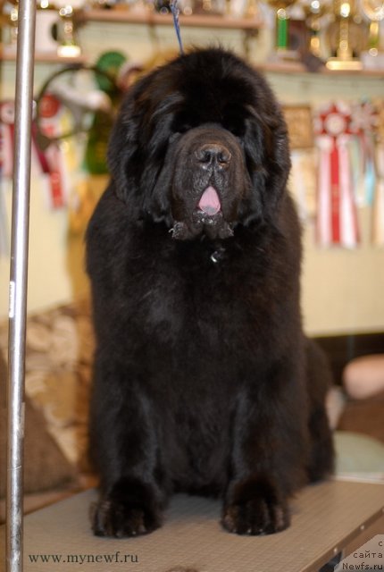 Фотография № 117428