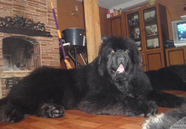 Фотография № 117480