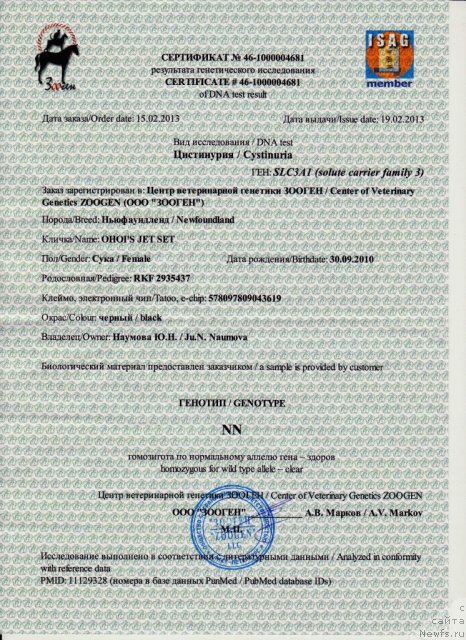 Фото: ньюфаундленд Ohoi's Jet Set