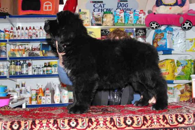 Фото: Татьяна Рустанова