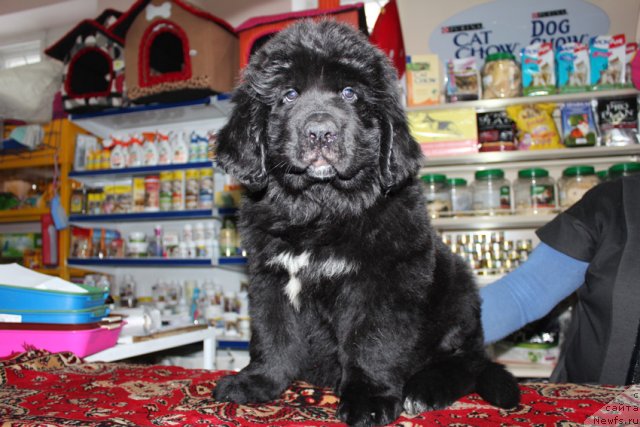 Фото: Татьяна Рустанова