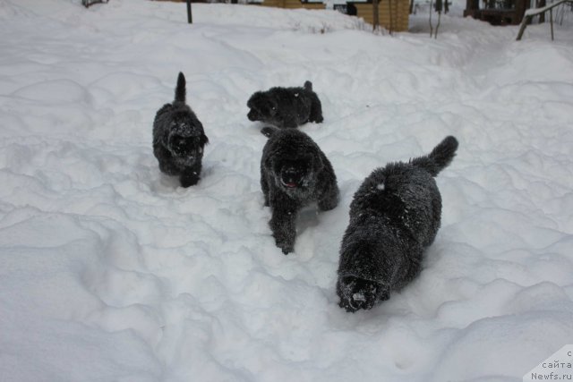 Фотография № 117511