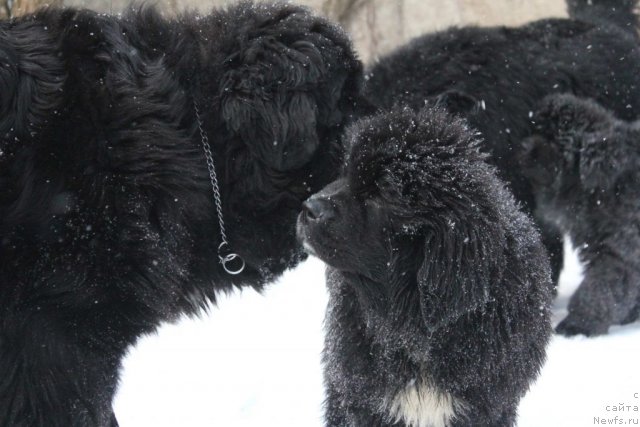 Фотография № 117514