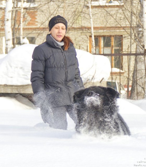 Фотография № 117532