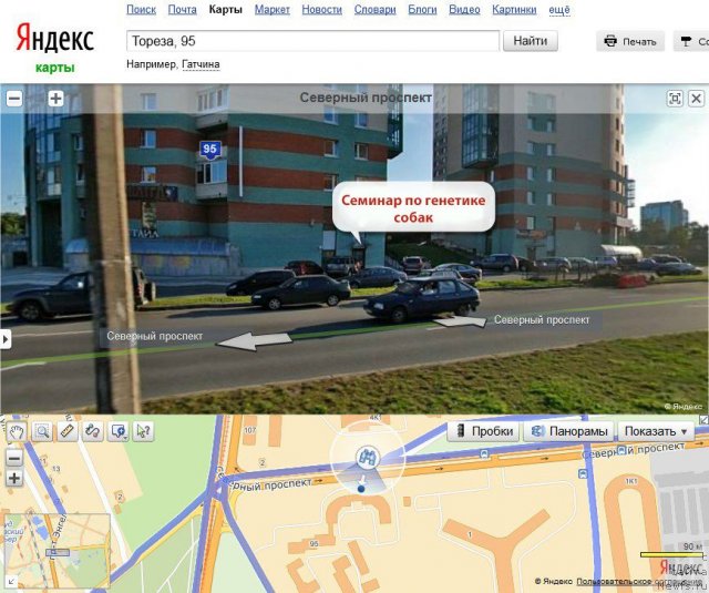 Фотография № 117555