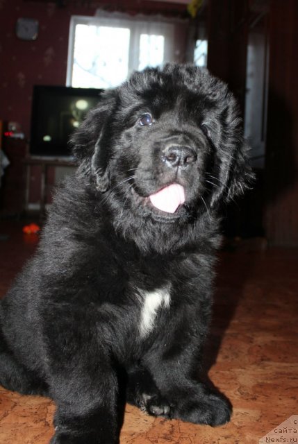 Фото: Татьяна Рустанова