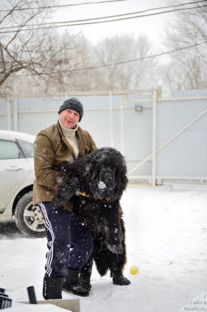 Фотография № 117619