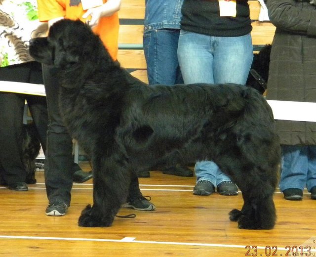 Фотография № 117635