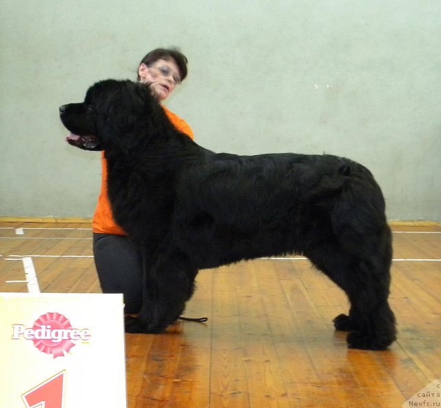 Фотография № 117636